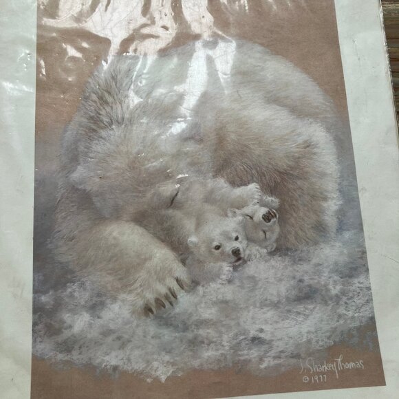 Polar Bear & Cubs Art Print J Sharkey Thomas Vintage 70s Wildlife Pepper House - Picture 7 of 7
